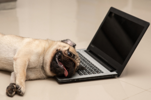 冷や汗…「メール送信件数の上限を超過しております」が届き、やった対策